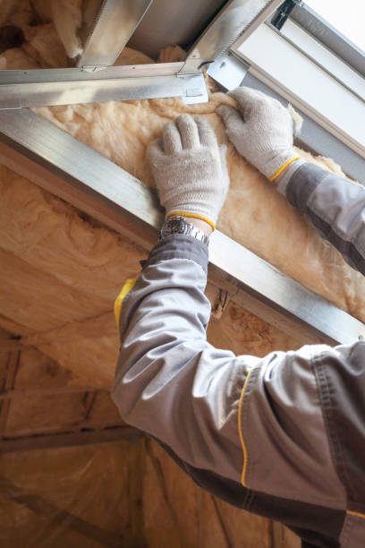 Best Geographic-Specific Insulation Services in Emma, NC