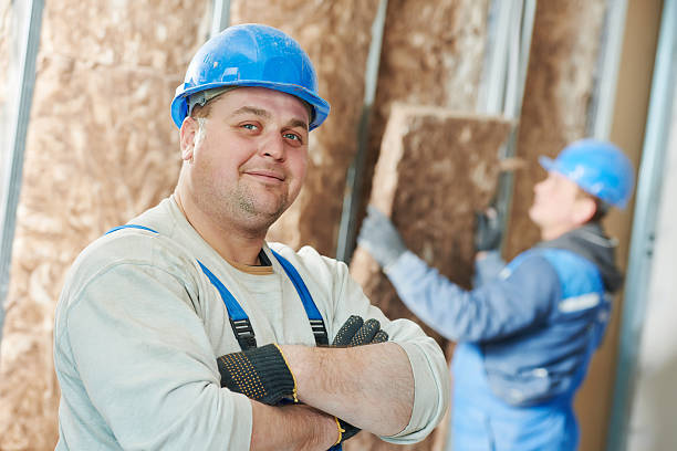 Best Specialized Insulation Services in Emma, NC