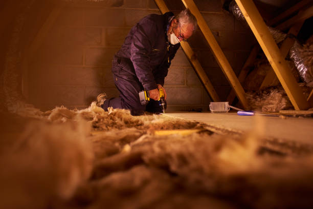 Best Insulation Maintenance and Repair in Emma, NC